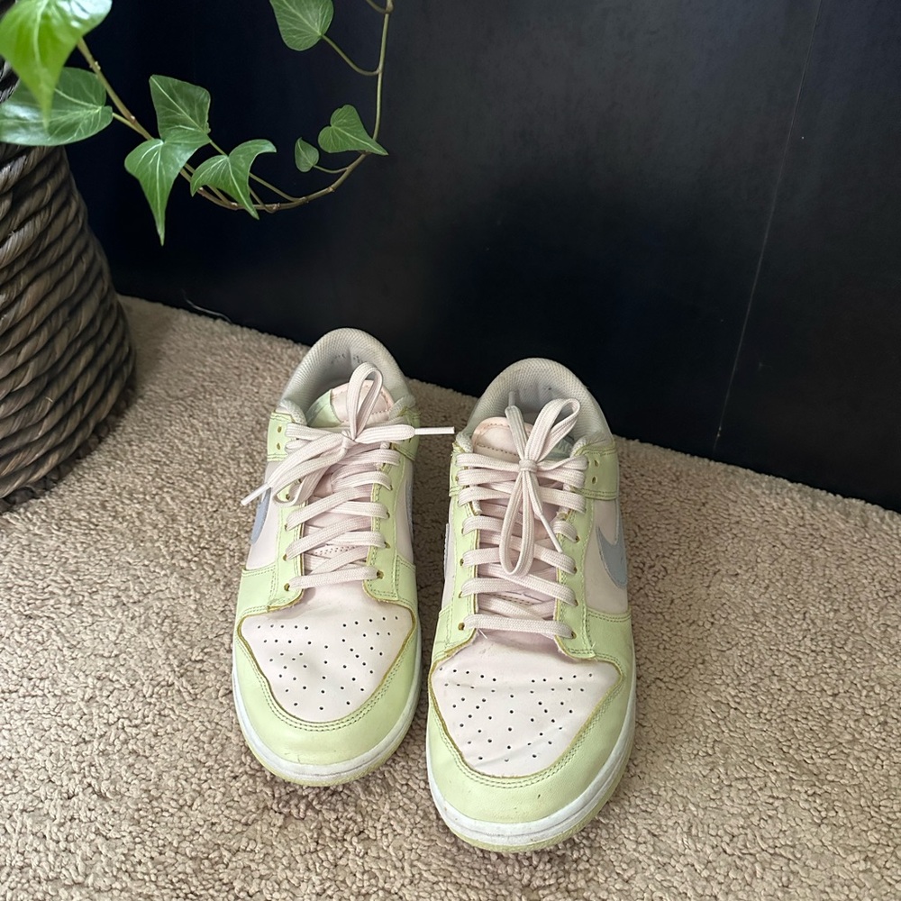 Nike Dunks Womens